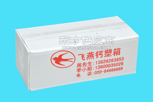 鈣塑瓦楞箱與飛燕塑膠制品 深圳與佛山兩大生產(chǎn)基地的對比與產(chǎn)品展示