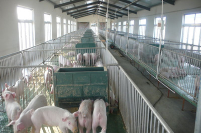 在希望的田野唱響“新農歌” 揚州張家村畜牧設備技術開發(fā)的振興之路