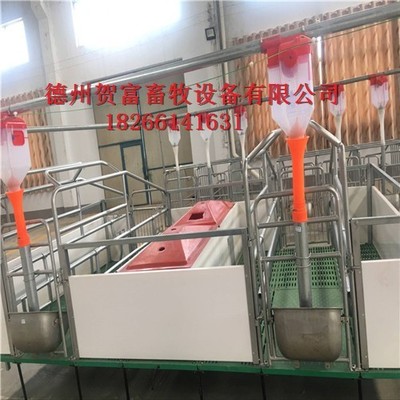 養(yǎng)殖定位欄與賀富設(shè)備廠 畜牧設(shè)備技術(shù)的創(chuàng)新與發(fā)展